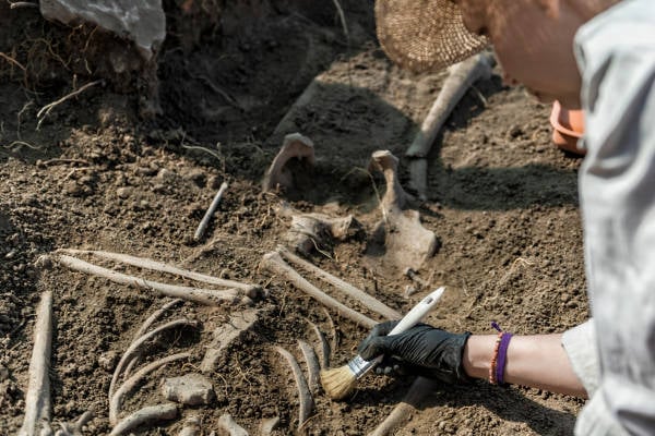 Gli archeologi trovano ossa umane vicino alla chiesa