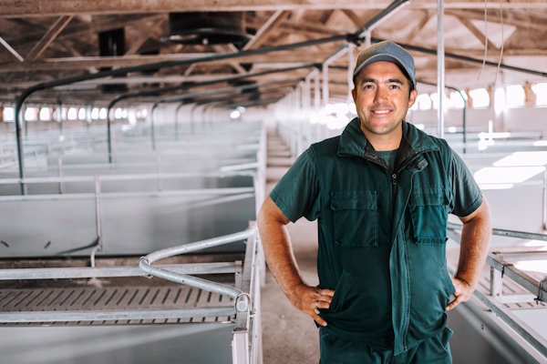 Varkensboer blij met uitkoop van 2,5 miljoen euro: “Kan ik kippenfokkerij van beginnen”