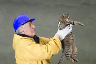 laatste-kattenverzuiper-met-pensioen