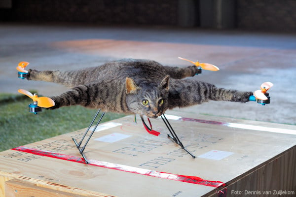 gracht tarwe nauwkeurig Dierenliefhebbers kritisch over kat-drone