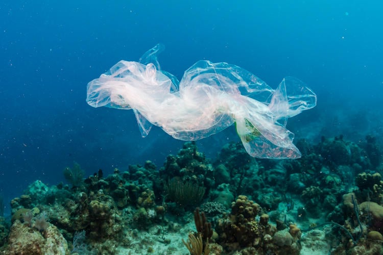 Biologen ontdekken nieuwe plasticsoort in Atlantische Oceaan