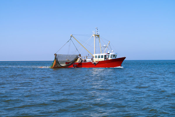 Rampzalig jaar voor Nederlandse plasticvisserij: “Vangst wordt steeds minder”