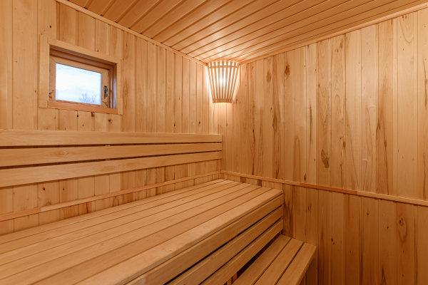 Compatibel met Glad Adolescent Sauna vanwege hoge energieprijs verder als houten hok